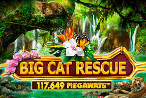 Big cat rescue megaways thumbnail